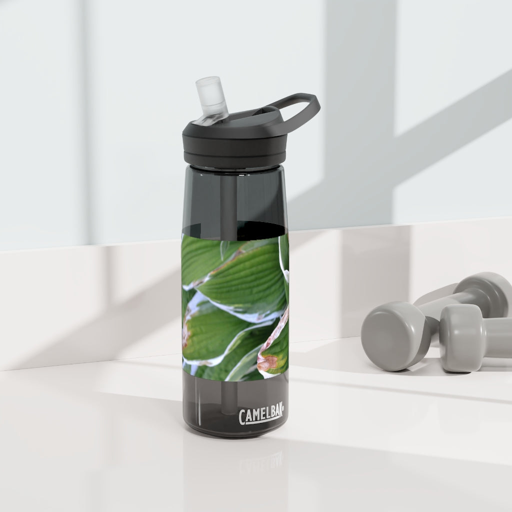 Green Leaves CamelBak Eddy® Water Bottle in 20oz and 25oz sizes, showcasing its durable design and spill-proof valve.