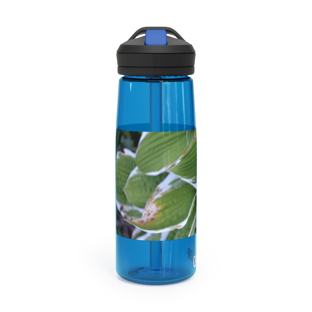 Green Leaves CamelBak Eddy® Water Bottle in 20oz and 25oz sizes, showcasing its durable design and spill-proof valve.