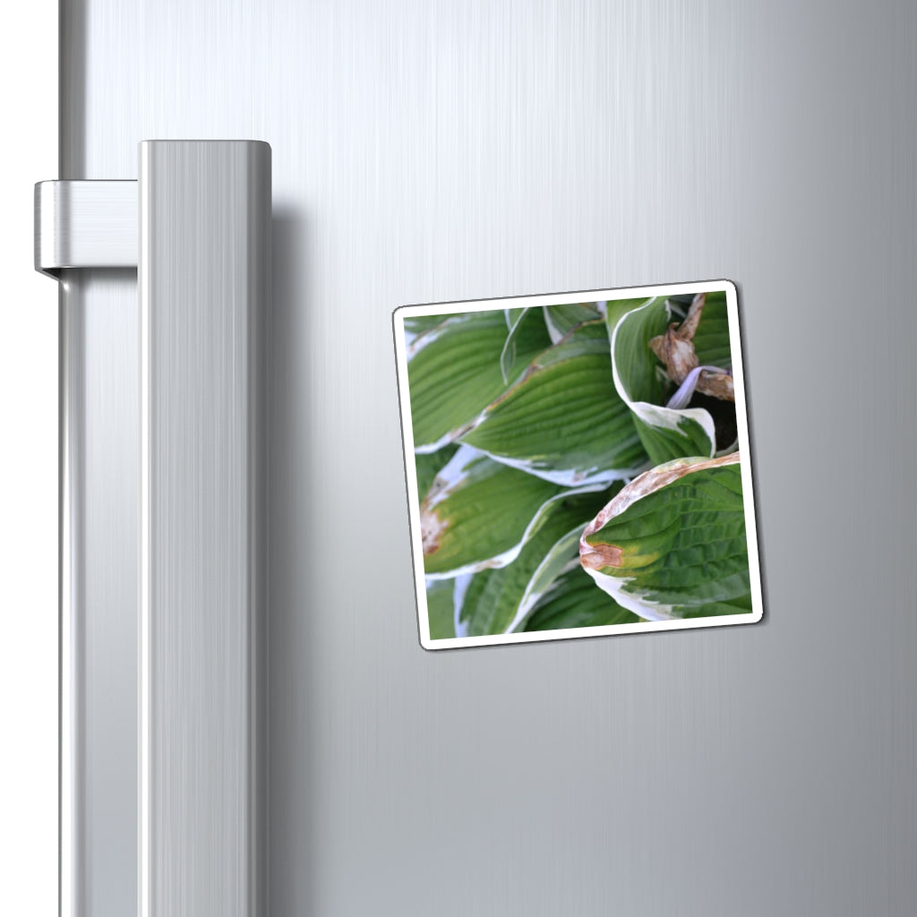 A set of Green Leaves Magnets showcasing vibrant green leaf designs on a black backing, ideal for metallic surfaces.