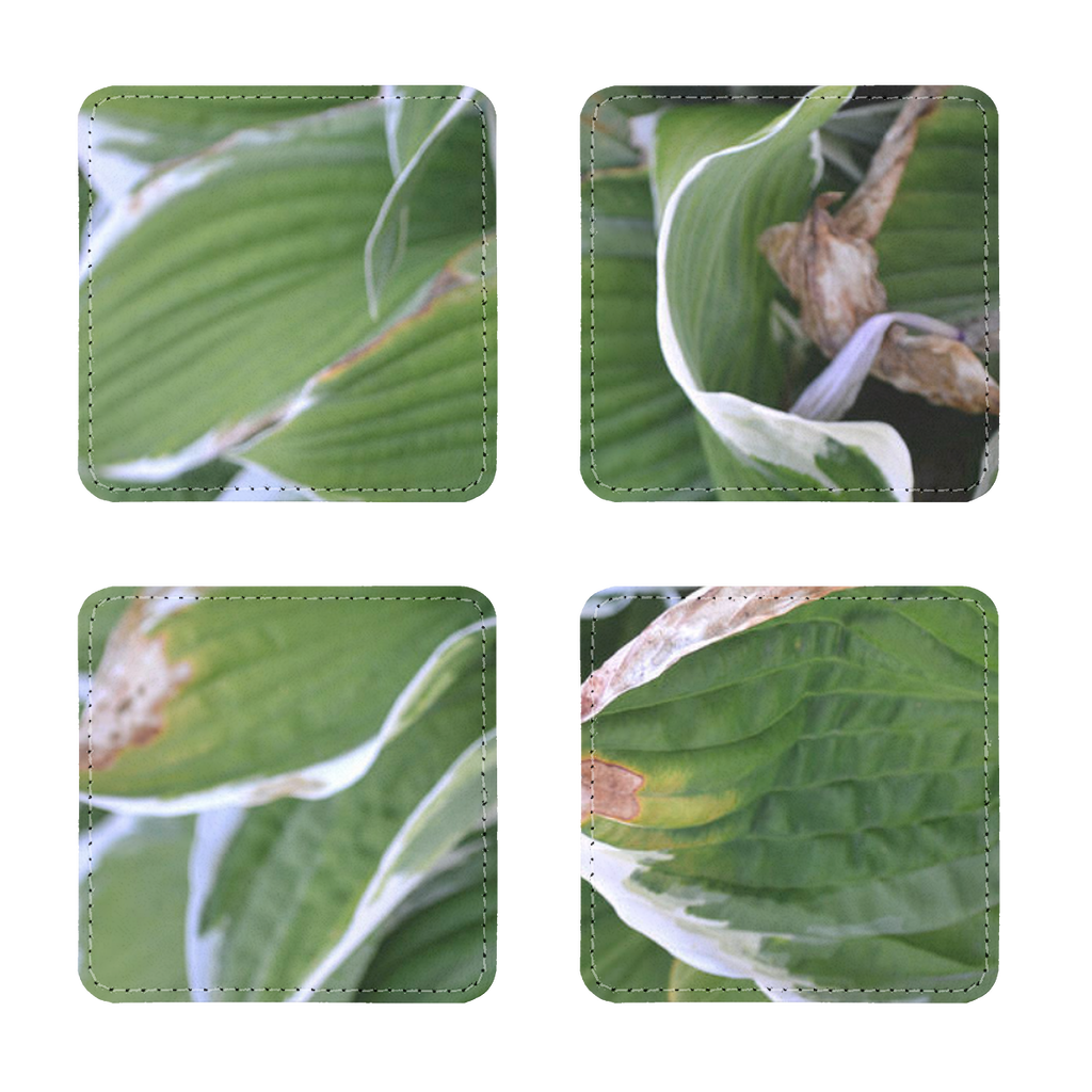 Pack of four Green Leaves Sublimation Coasters made of PU leather, featuring a white printable face and white stitching.