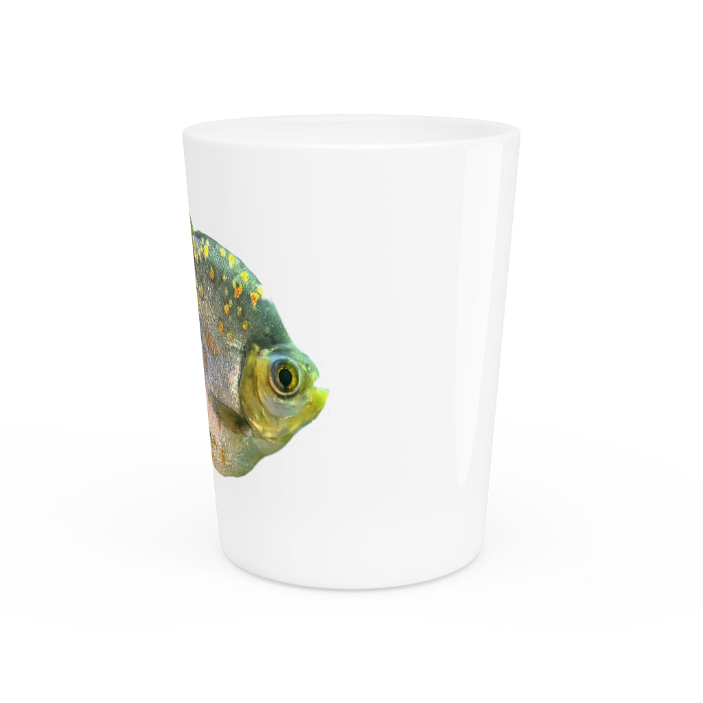 Green Striped Fish Shot Glass with a ceramic finish, featuring a unique green striped design and available with a white or black interior.