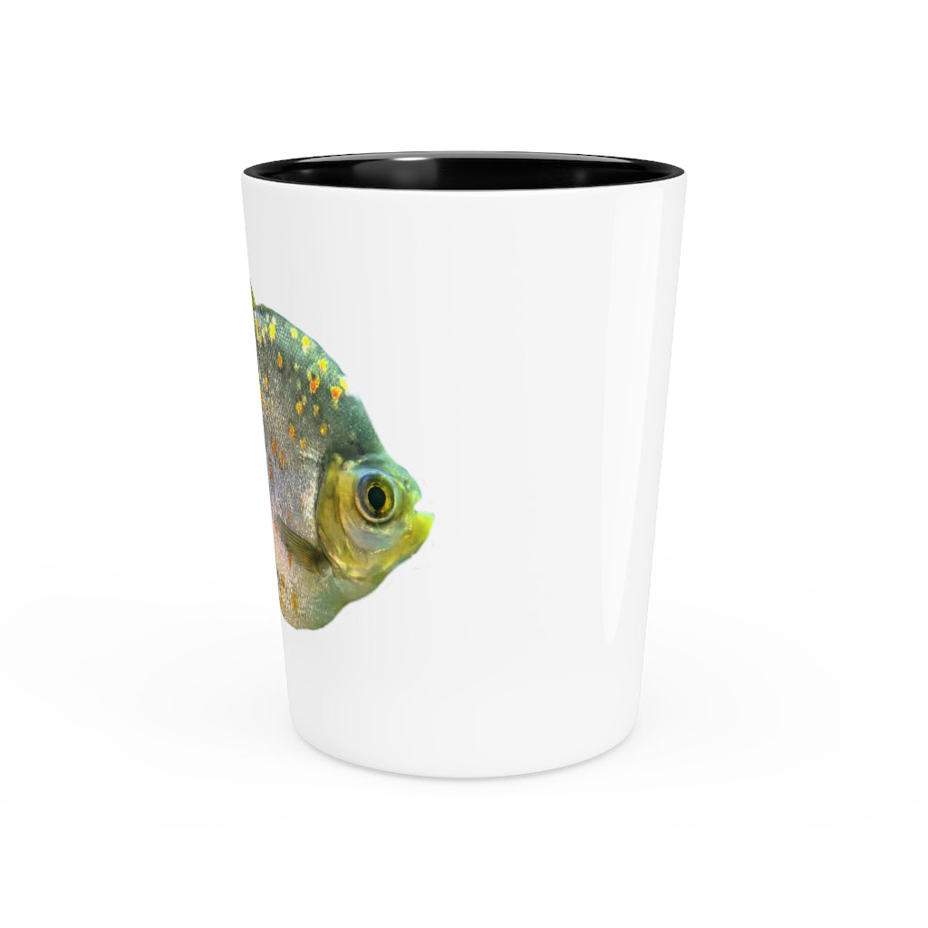 Green Striped Fish Shot Glass with a ceramic finish, featuring a unique green striped design and available with a white or black interior.