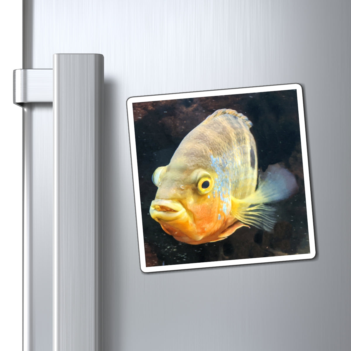 A set of Grey Orange Fish Magnets showcasing their vibrant colors and strong design, ideal for displaying messages on metallic surfaces.