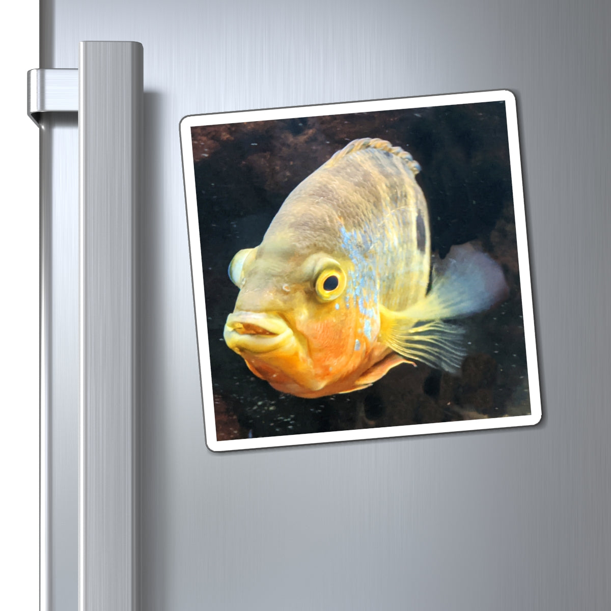 A set of Grey Orange Fish Magnets showcasing their vibrant colors and strong design, ideal for displaying messages on metallic surfaces.