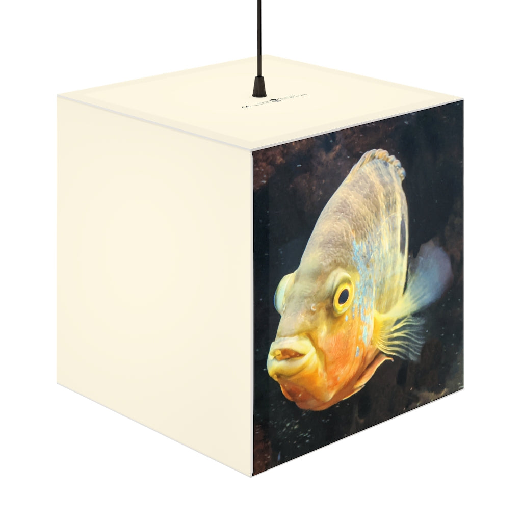 A stylish Grey Orange Fish Personalized Lamp in a cube shape, showcasing unique designs and soft ambient light, perfect for home decor.