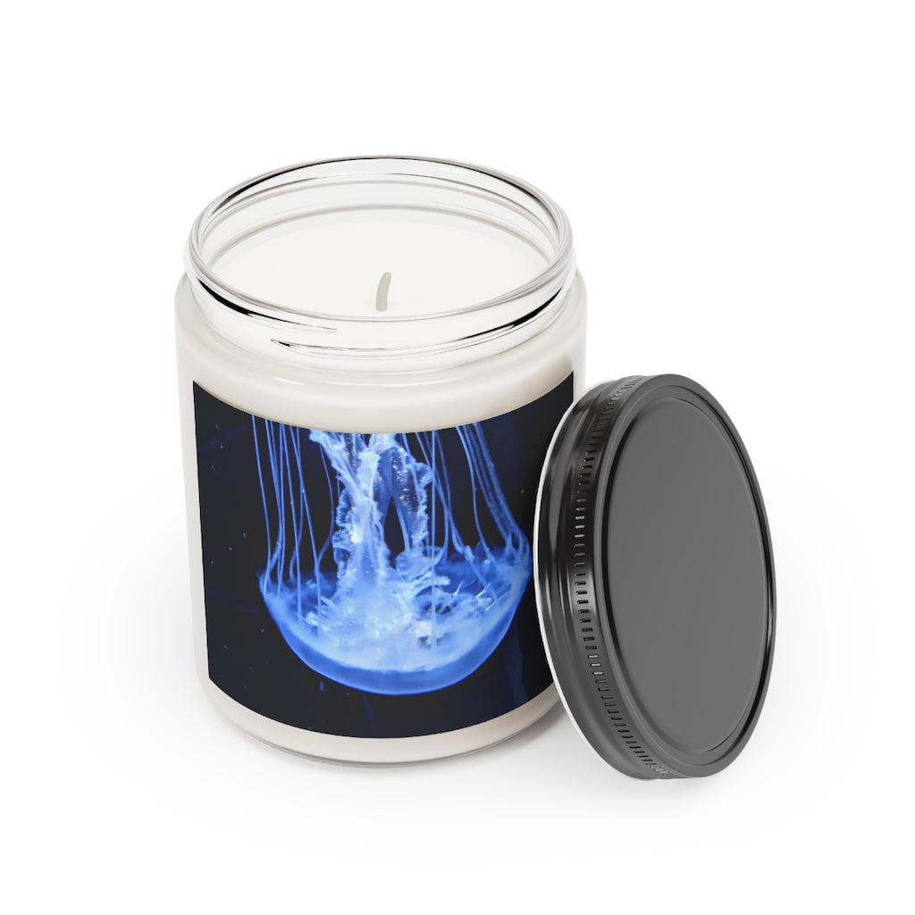 Jellyfish Scented Candle in a glass container, showcasing its soothing aroma and eco-friendly design.