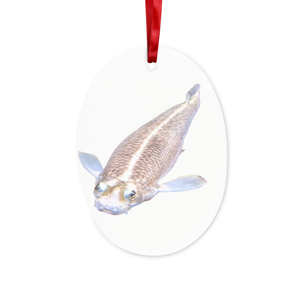 Koi Fish Ceramic Hanging Ornament with red ribbon and gold string, beautifully designed for holiday decor.