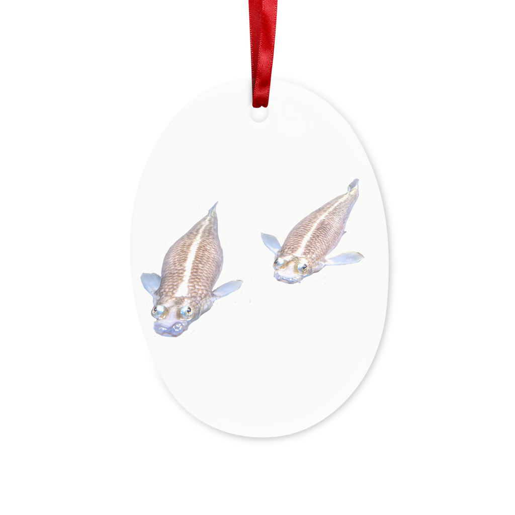 Koi Fish Ceramic Hanging Ornament with red ribbon and gold string, beautifully crafted for holiday decor.