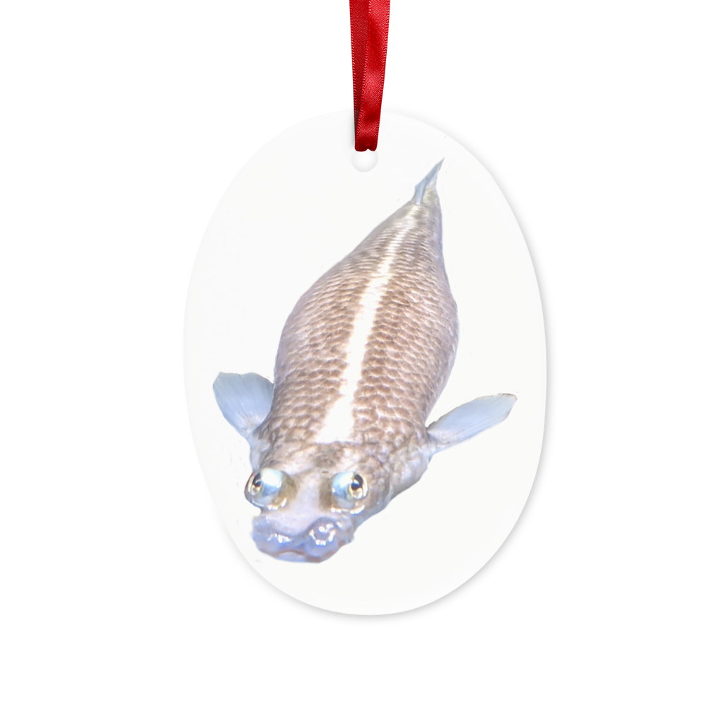 Koi Fish Ceramic Hanging Ornament with red ribbon and gold string, beautifully designed for home decor.