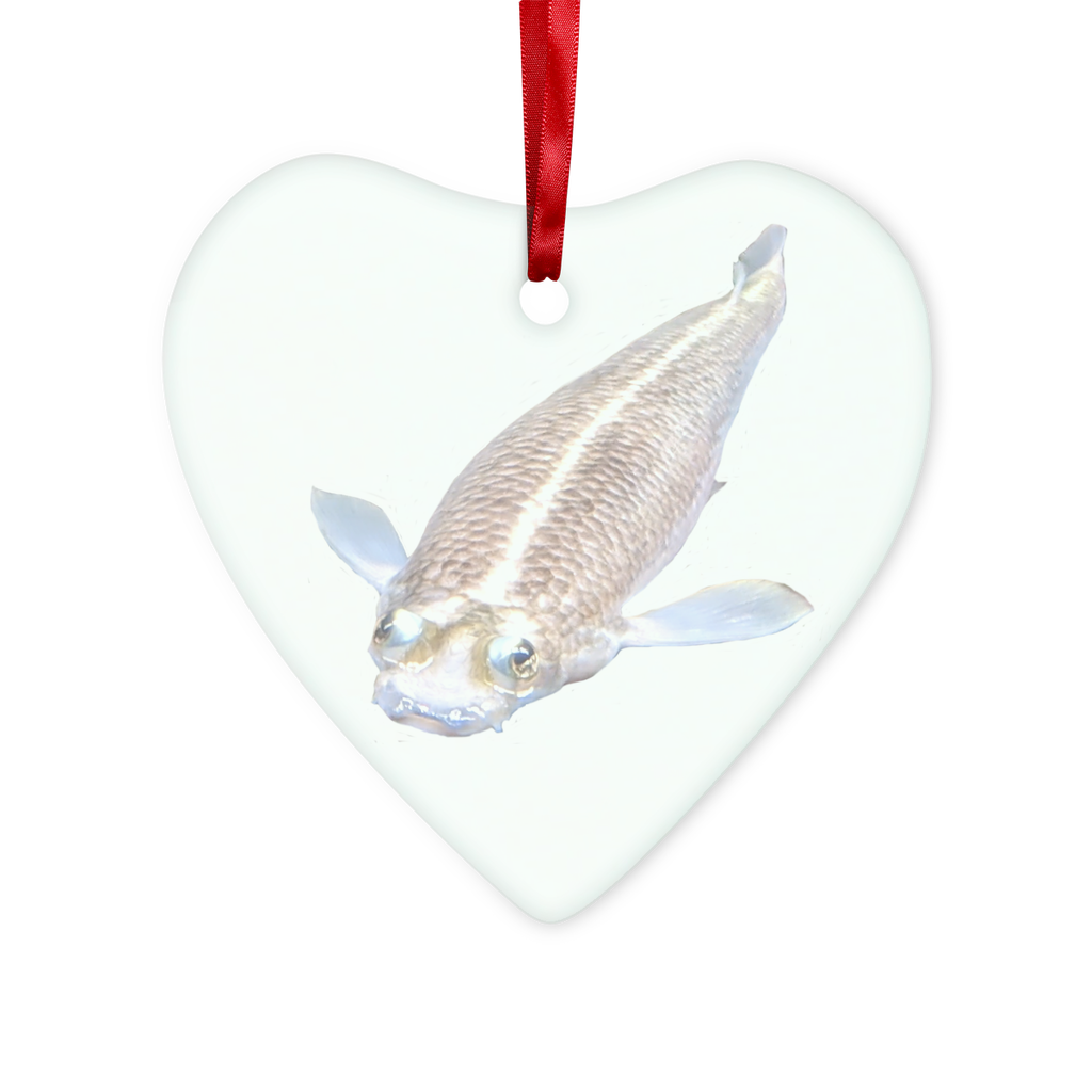 Koi Fish Glass Hanging Ornament in round and heart shapes, beautifully crafted with vibrant colors, hanging with a red ribbon.