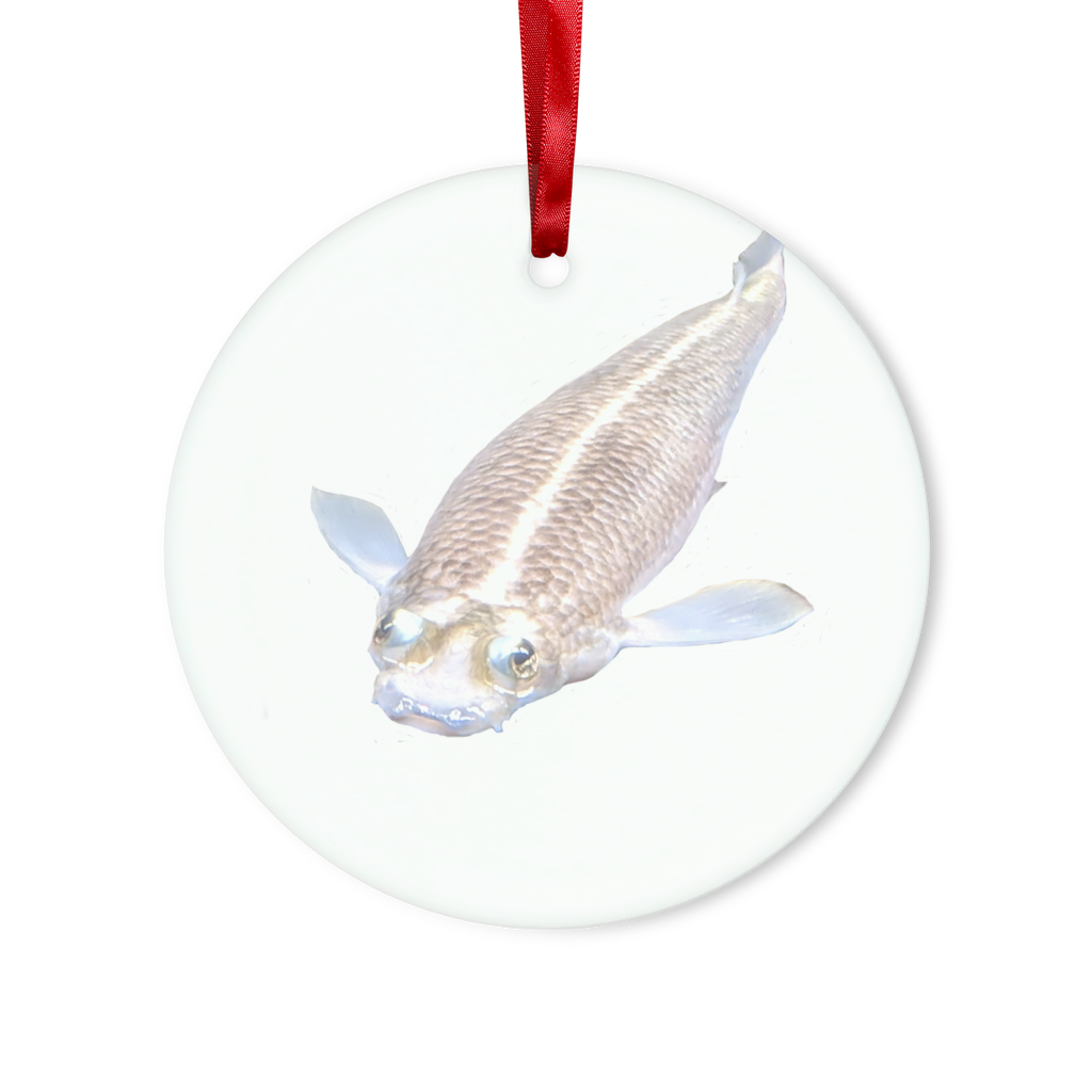 Koi Fish Glass Hanging Ornament in round and heart shapes, beautifully crafted with vibrant colors, hanging with a red ribbon.