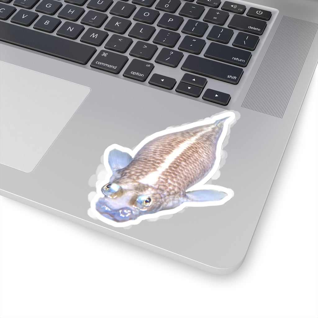 Colorful Koi Fish Kiss-Cut Stickers showcasing intricate designs on a white background.