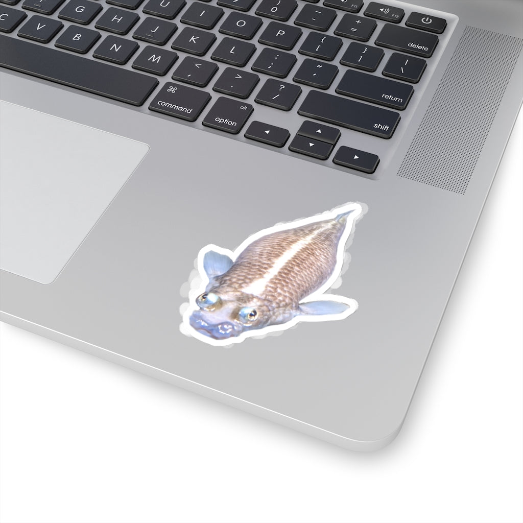 Colorful Koi Fish Kiss-Cut Stickers showcasing intricate designs on a white background.