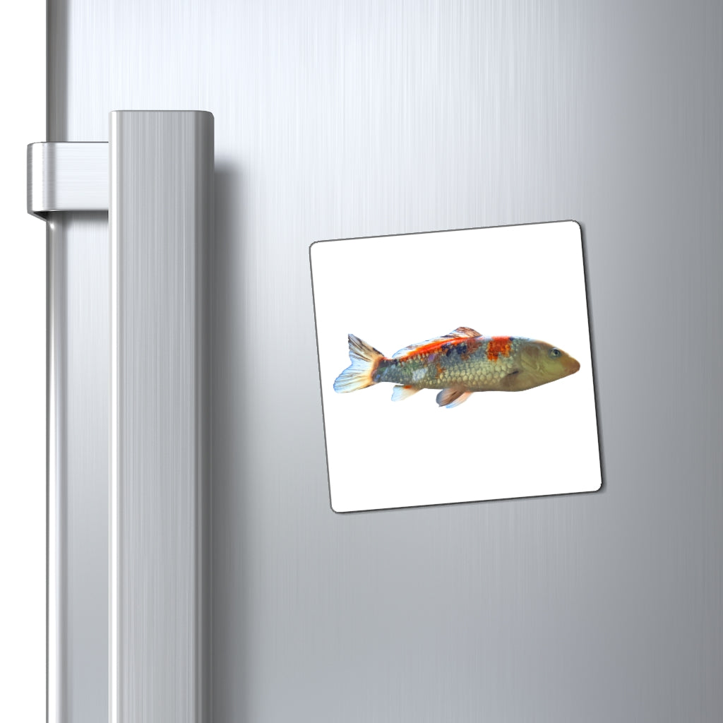 Colorful Koi Fish Magnets displayed on a metallic surface, showcasing vibrant designs and strong magnetic backing.