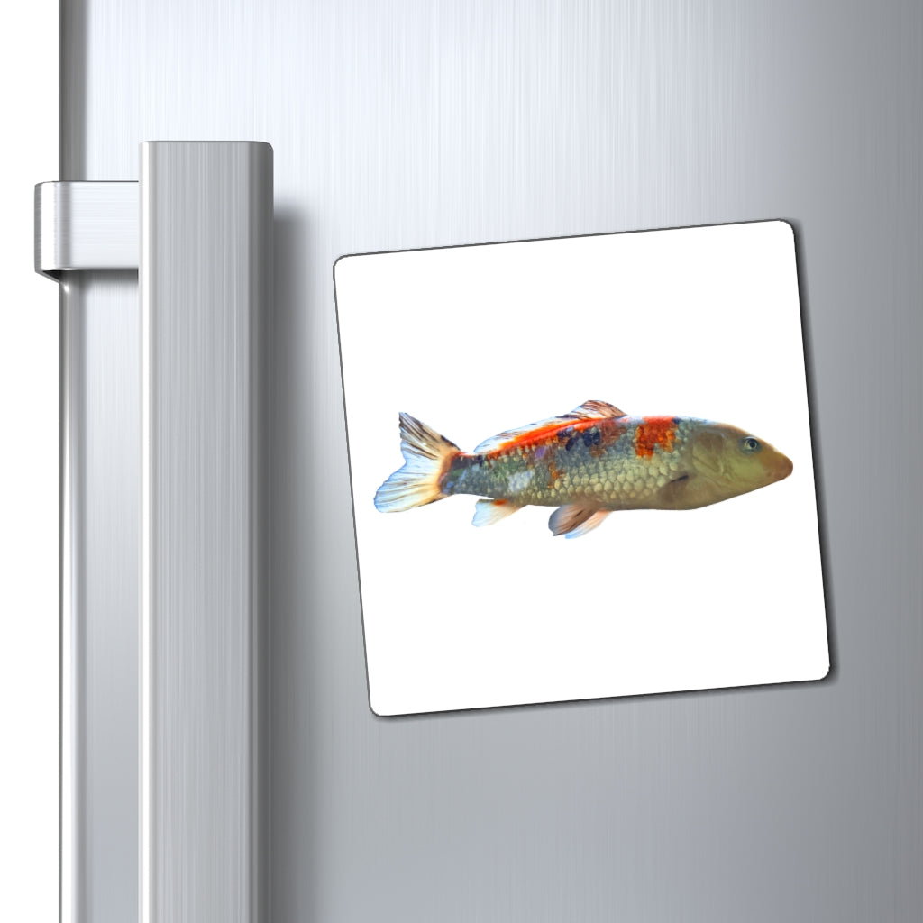 Colorful Koi Fish Magnets displayed on a metallic surface, showcasing vibrant designs and strong magnetic backing.