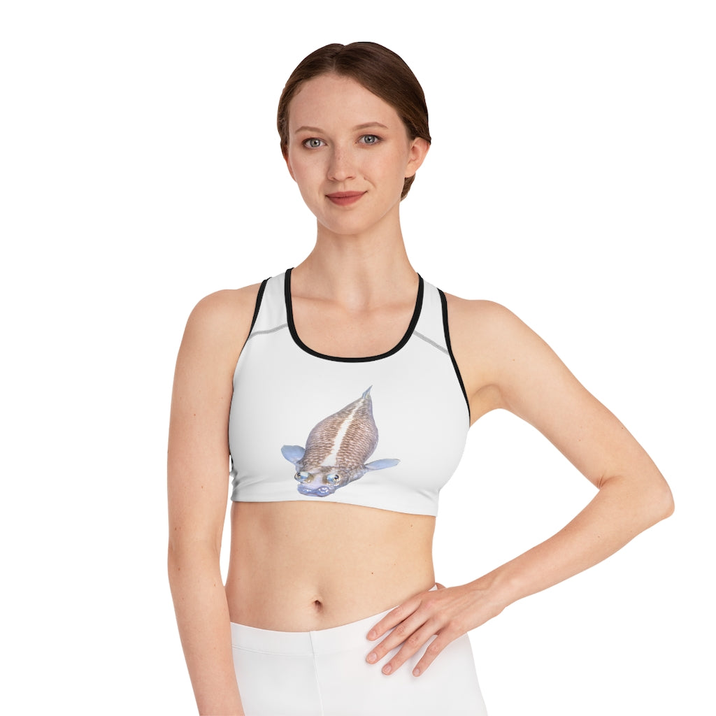 Koi Fish Sports Bra featuring a vibrant all-over-print design, perfect for active women seeking style and support.