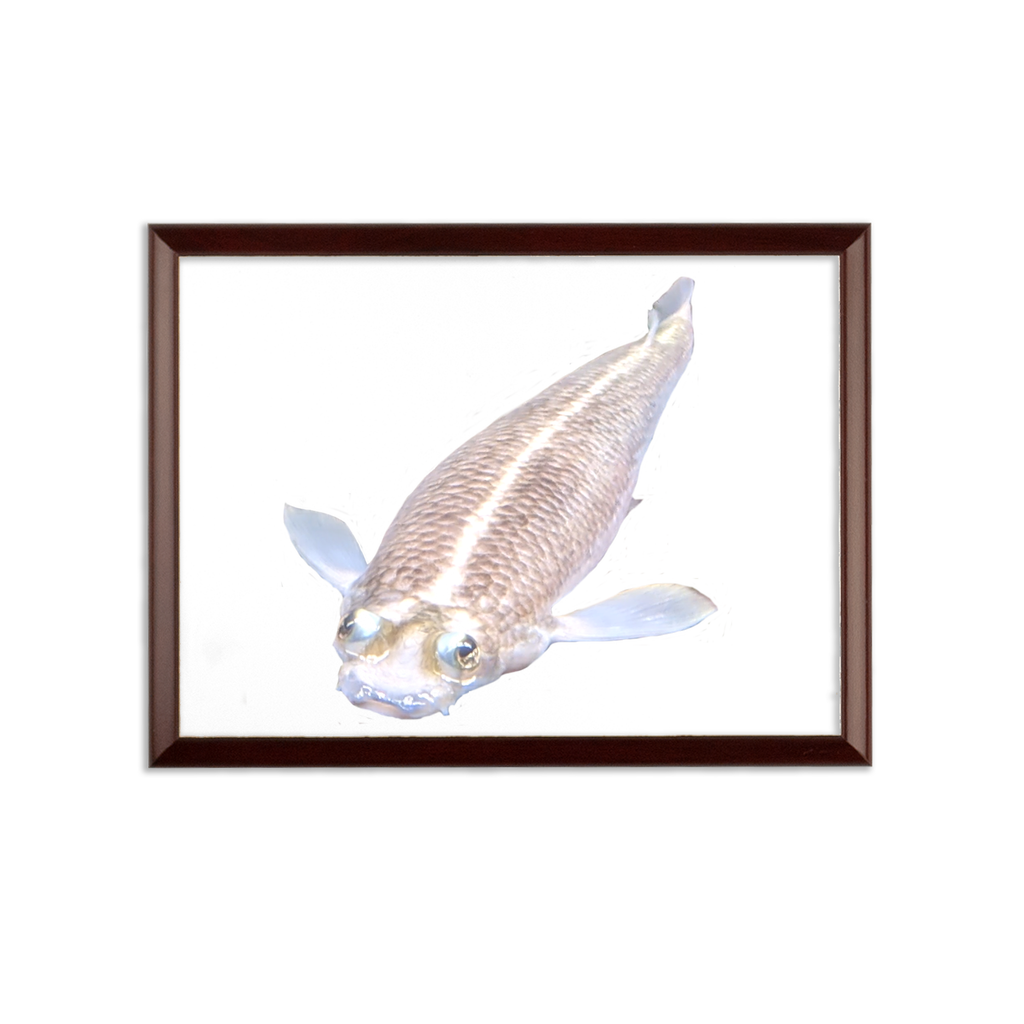 Koi Fish Sublimation Wall Plaque with brown wooden frame and white printable surface, showcasing vibrant designs.