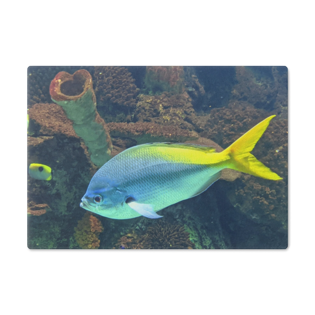 Light Blue and Yellow Fish Cutting Board made of tempered glass with rubber dots for stability.