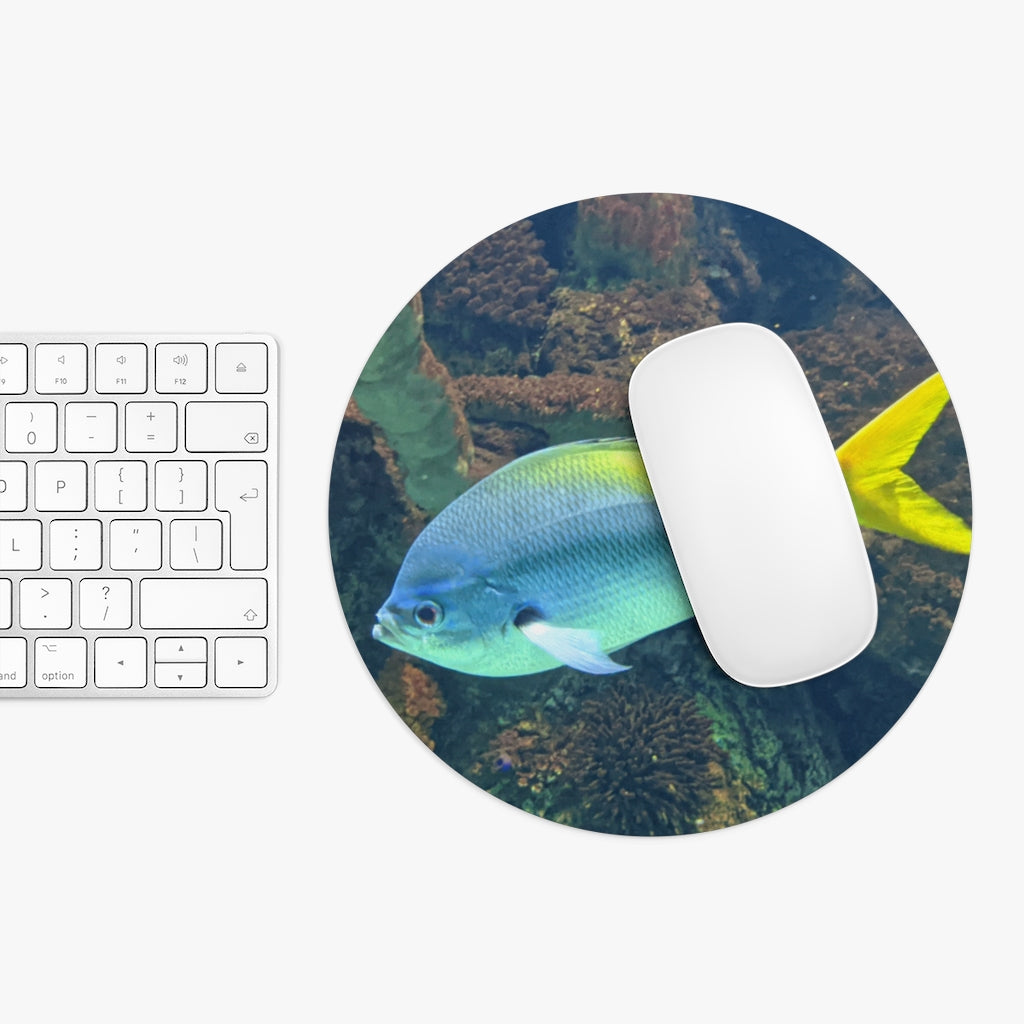 Light Blue and Yellow Fish Mouse Pad featuring a vibrant fish design, available in round and rectangular shapes with a non-slip rubber bottom.