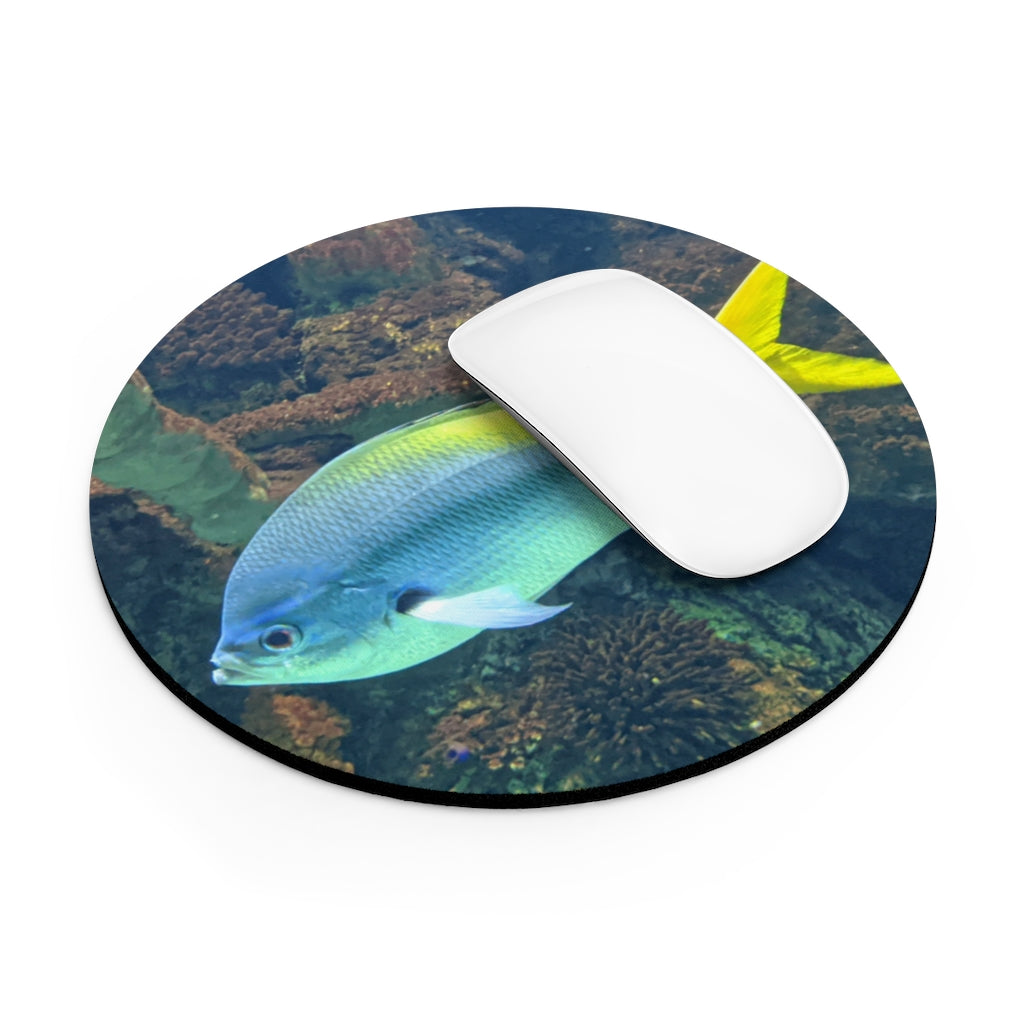 Light Blue and Yellow Fish Mouse Pad featuring a vibrant fish design, available in round and rectangular shapes with a non-slip rubber bottom.