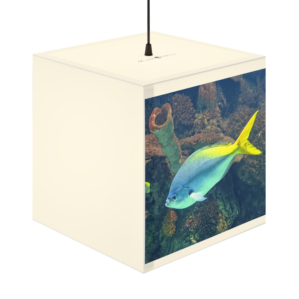 Light Blue and Yellow Fish Personalized Lamp showcasing a vibrant cube design, perfect for indoor decor.