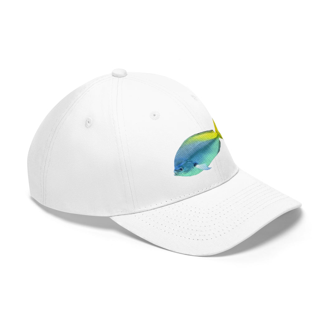 Light Blue and Yellow Fish Unisex Twill Hat featuring a playful fish design, adjustable Velcro closure, and classic 6-panel structure.