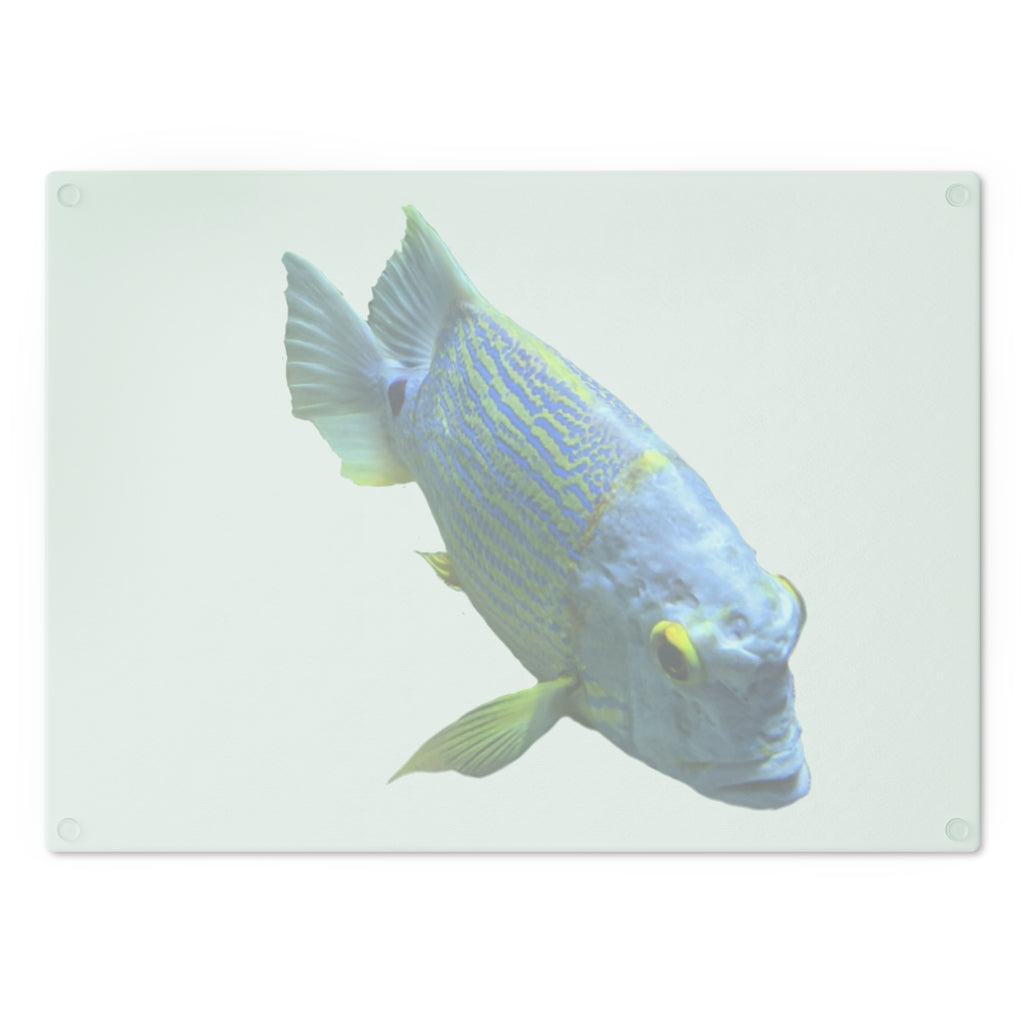 Light Blue Fish Cutting Board made of tempered glass with rubber dots for stability, featuring a unique fish design.