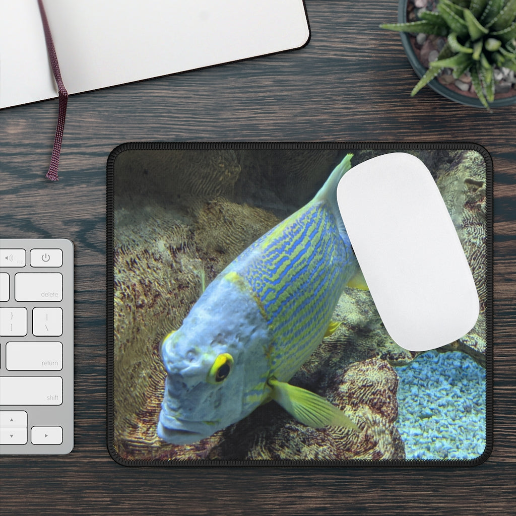 Light Blue Fish Gaming Mouse Pad featuring a vibrant fish design on a smooth surface, ideal for gaming and office use.