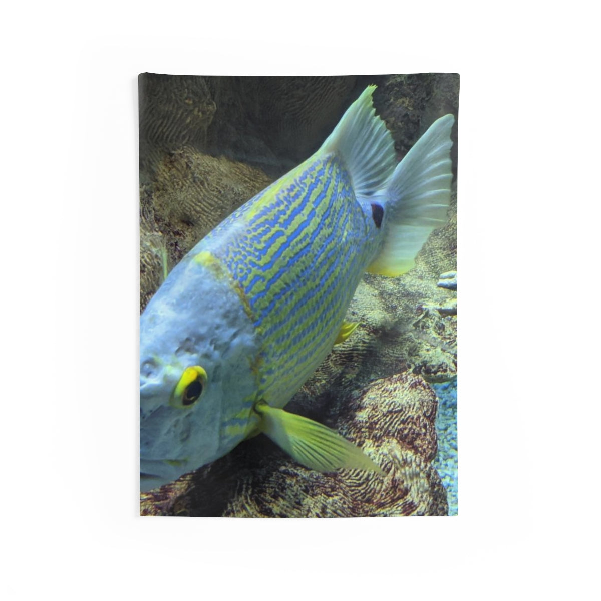 Light Blue Fish Indoor Wall Tapestry featuring vibrant colors and intricate designs, made from durable polyester material.