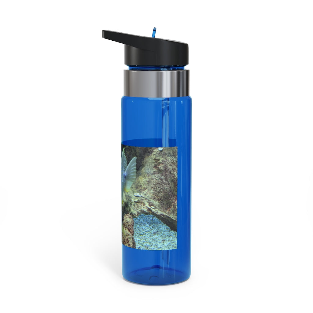 Light Blue Fish Kensington Tritan™ Sport Bottle, 20oz, featuring a screw-on lid, straw, and carabiner hook for easy attachment.