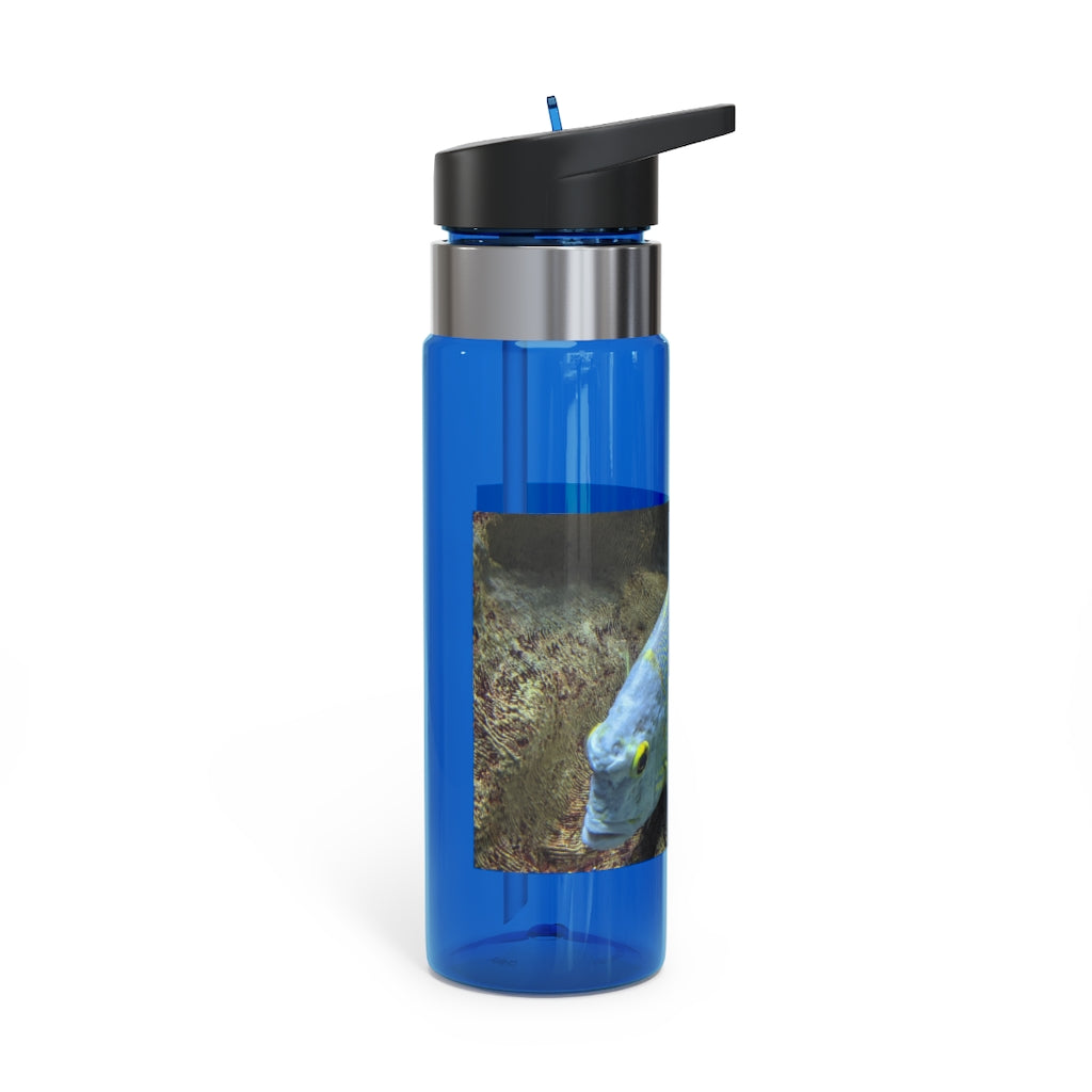 Light Blue Fish Kensington Tritan™ Sport Bottle, 20oz, featuring a screw-on lid, straw, and carabiner hook for easy attachment.