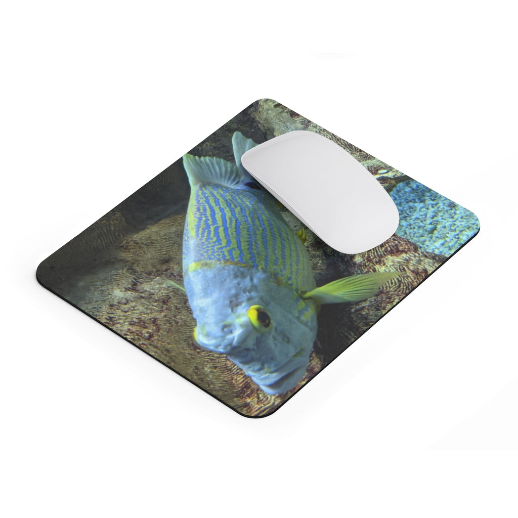 Light Blue Fish Mouse Pad featuring a vibrant fish design on a smooth surface, ideal for enhancing desk aesthetics.