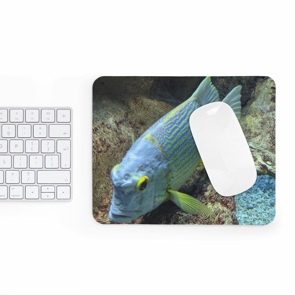 Light Blue Fish Mouse Pad featuring a vibrant fish design on a smooth surface, ideal for enhancing desk aesthetics.