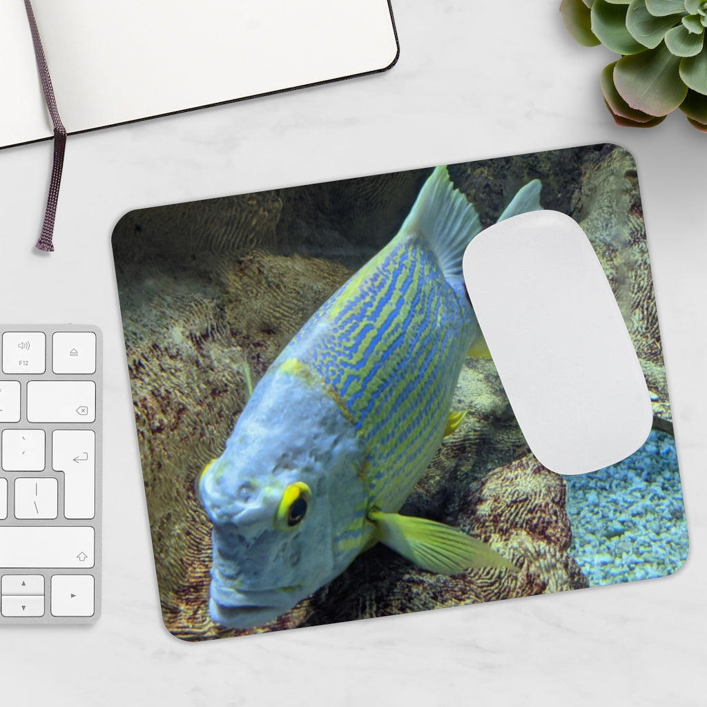 Light Blue Fish Mouse Pad featuring a vibrant fish design on a smooth surface, ideal for enhancing desk aesthetics.