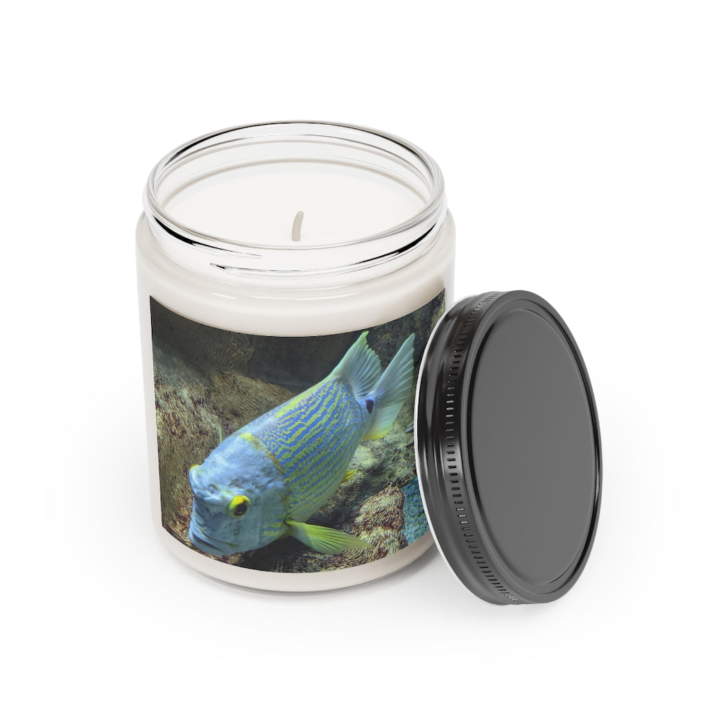 Light Blue Fish Scented Candle in a glass container, showcasing its vibrant color and elegant design, perfect for aromatherapy.