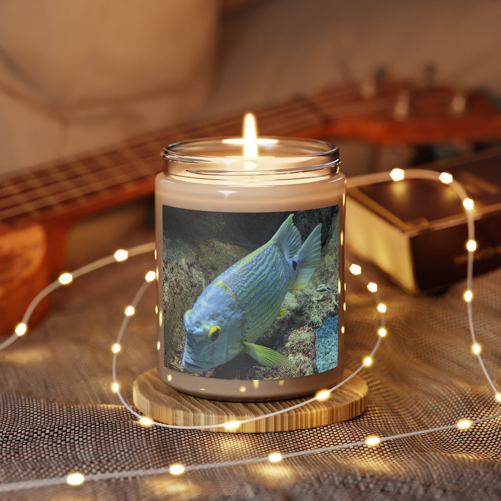 Light Blue Fish Scented Candle in a glass container, showcasing its vibrant color and elegant design, perfect for aromatherapy.