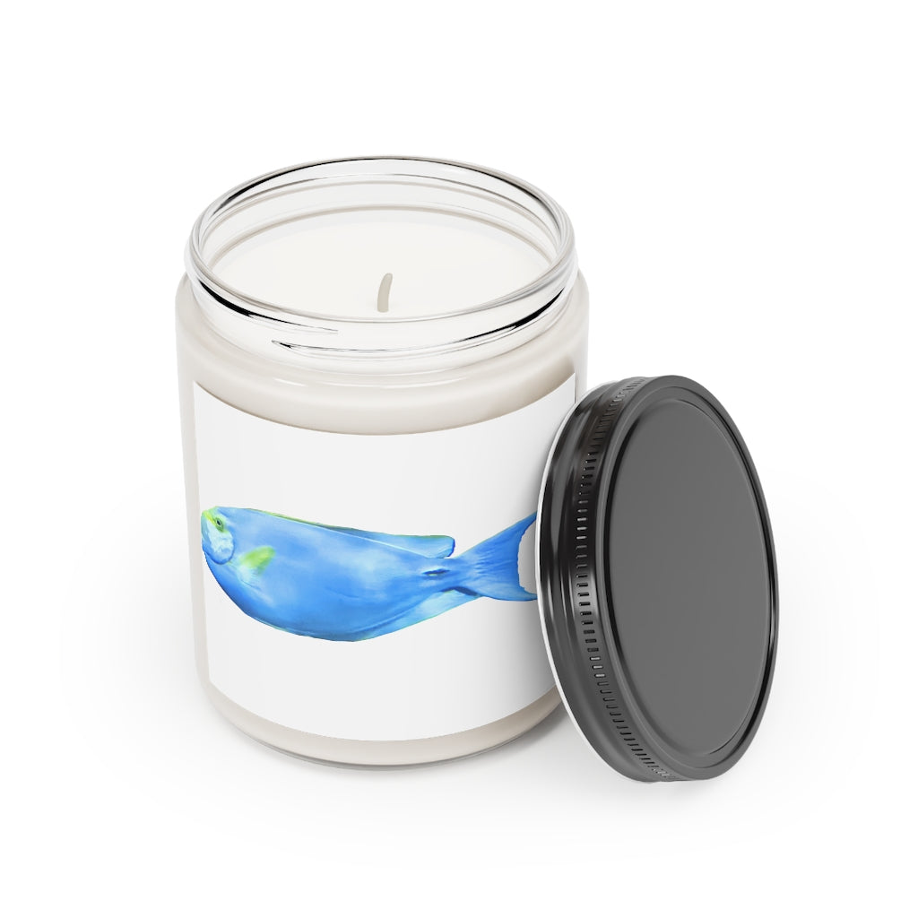 Light Blue Fish Scented Candle in a glass container, showcasing its soothing aroma and elegant design.