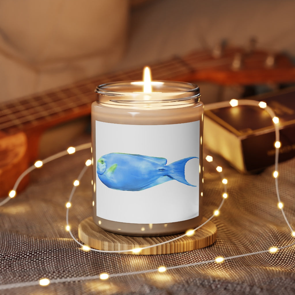 Light Blue Fish Scented Candle in a glass container, showcasing its soothing aroma and elegant design.