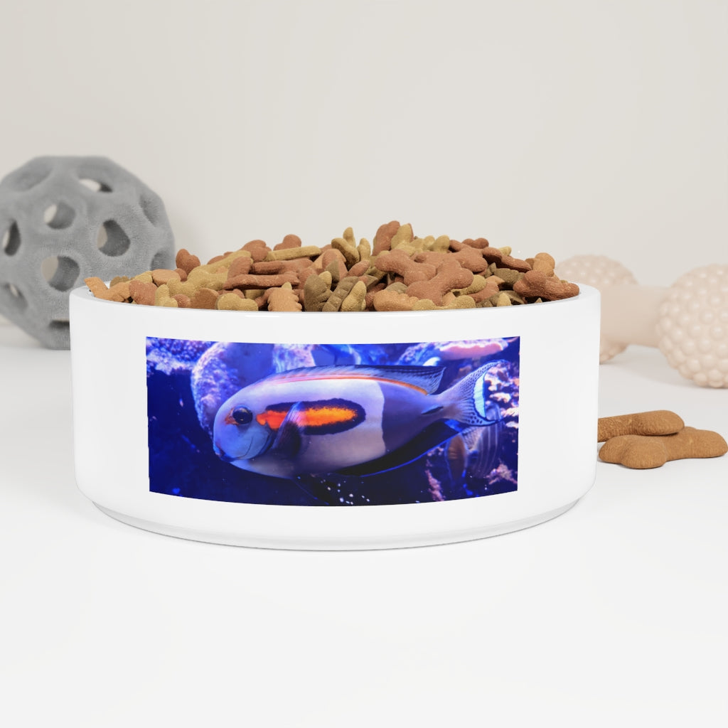 Light White Fish Pet Bowl made of ceramic, featuring a customizable design and a glazed finish, measuring 6 inches in diameter.