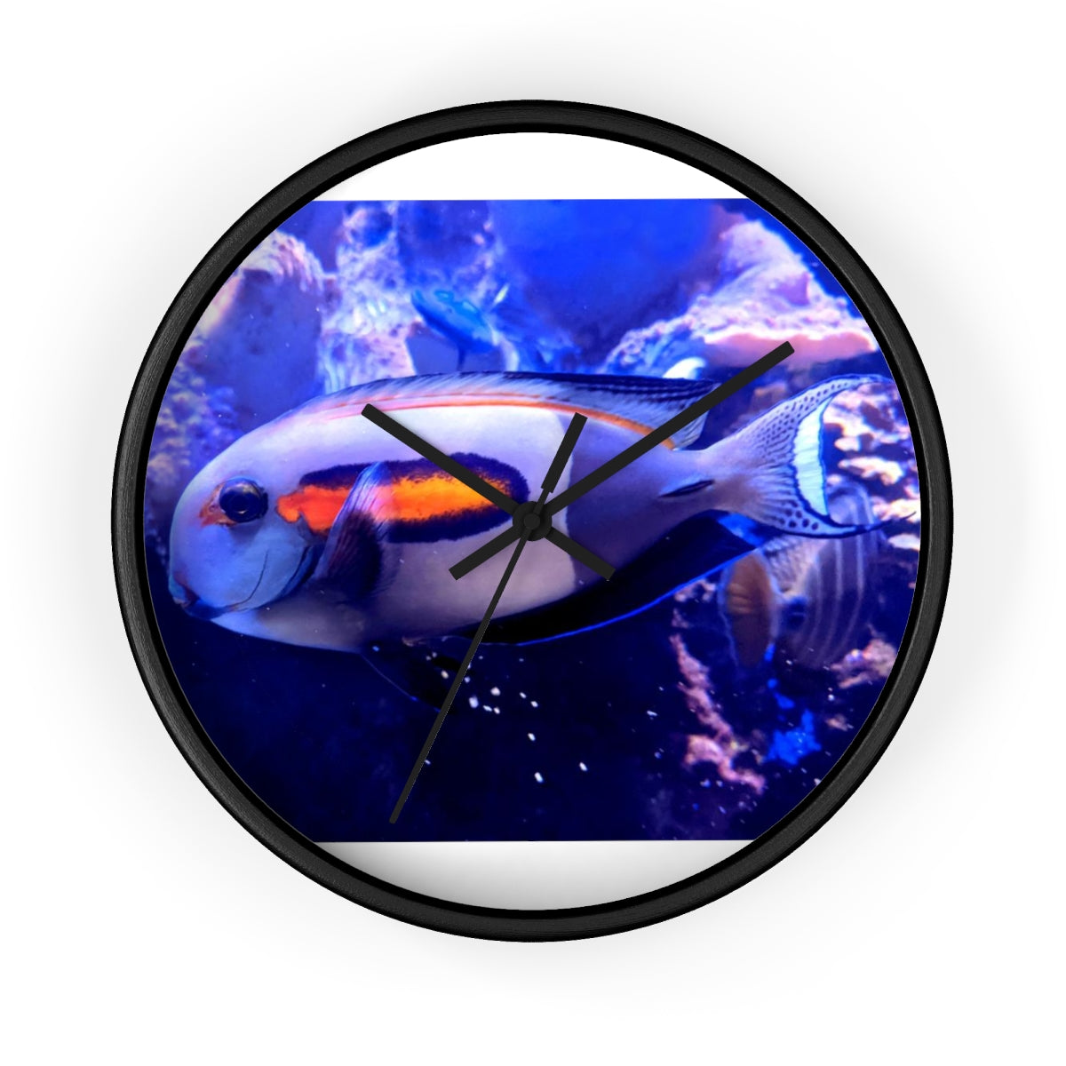 Light White Fish Wall Clock with wooden frame and plexiglass face, featuring a unique fish design.