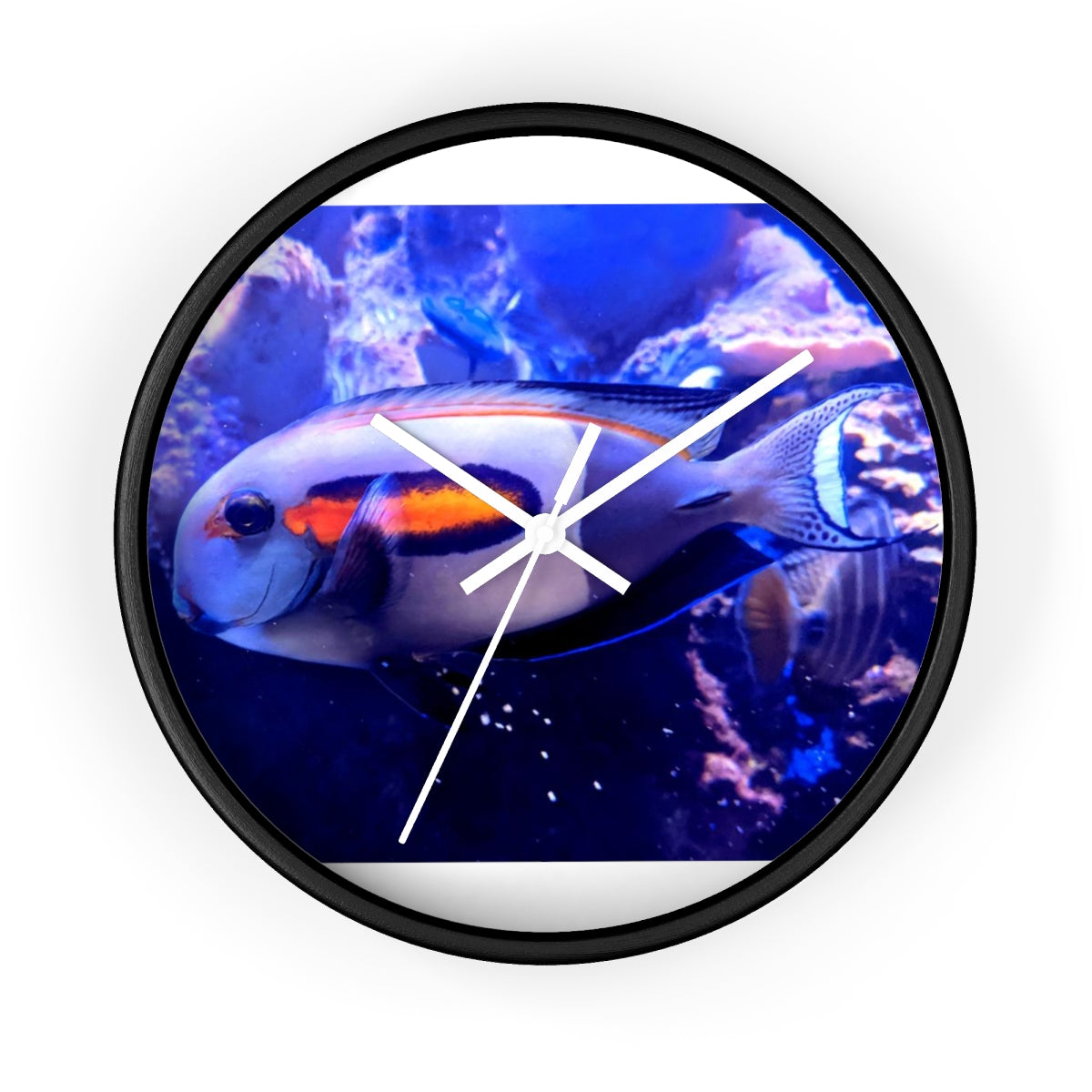 Light White Fish Wall Clock with wooden frame and plexiglass face, featuring a unique fish design.