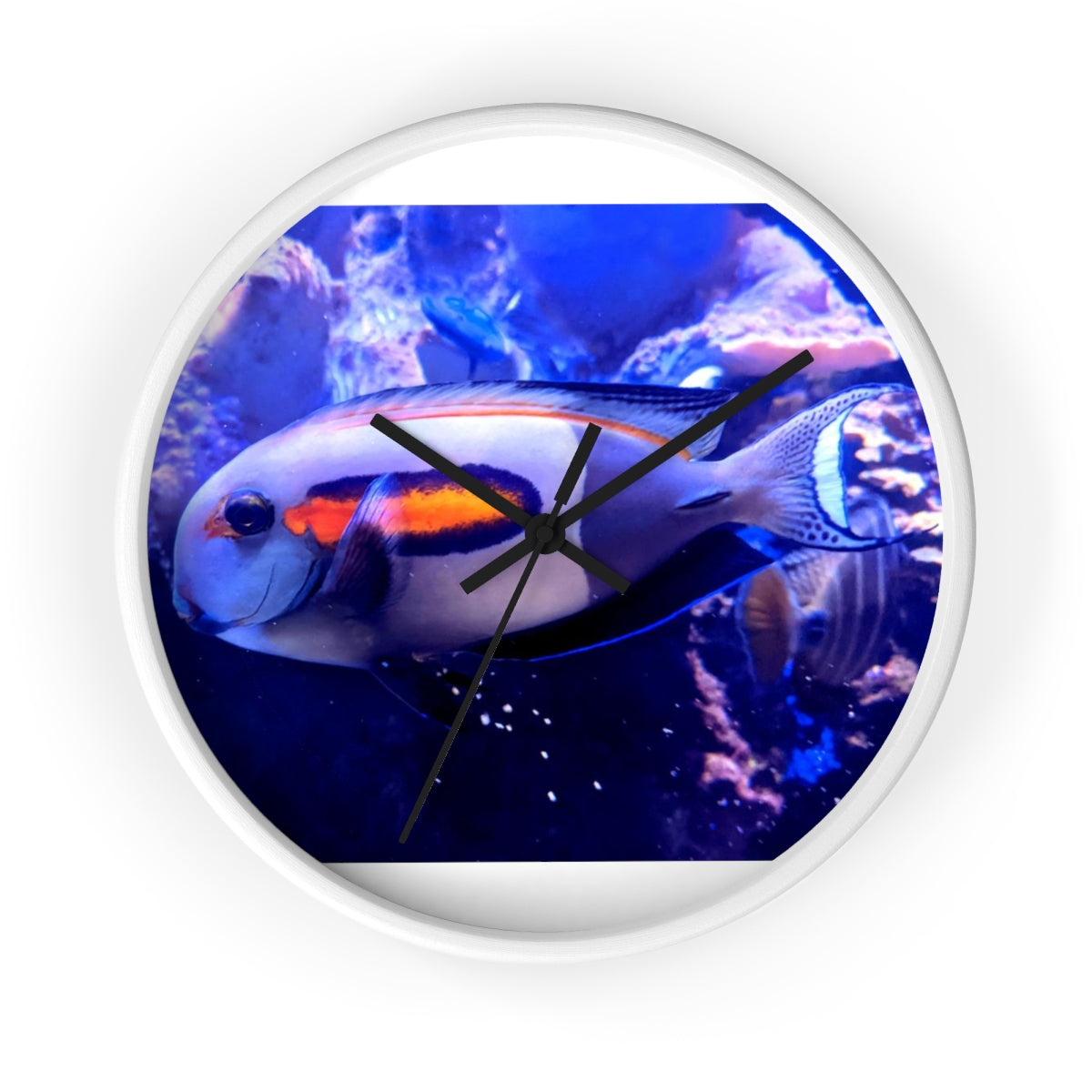 Light White Fish Wall Clock with wooden frame and plexiglass face, featuring a unique fish design.