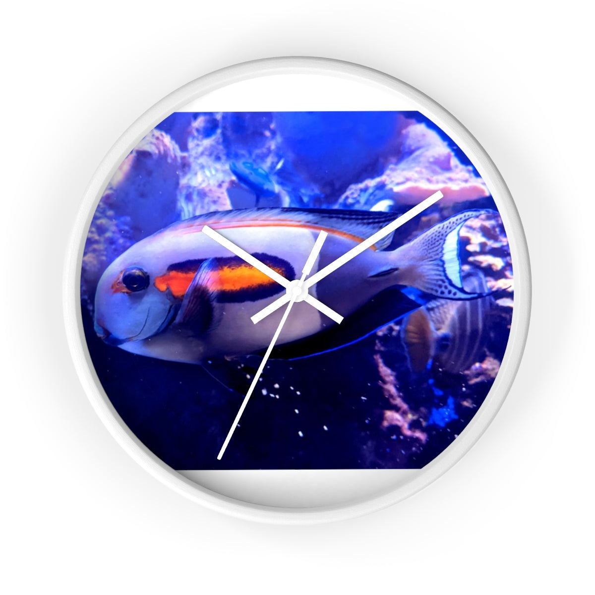 Light White Fish Wall Clock with wooden frame and plexiglass face, featuring a unique fish design.