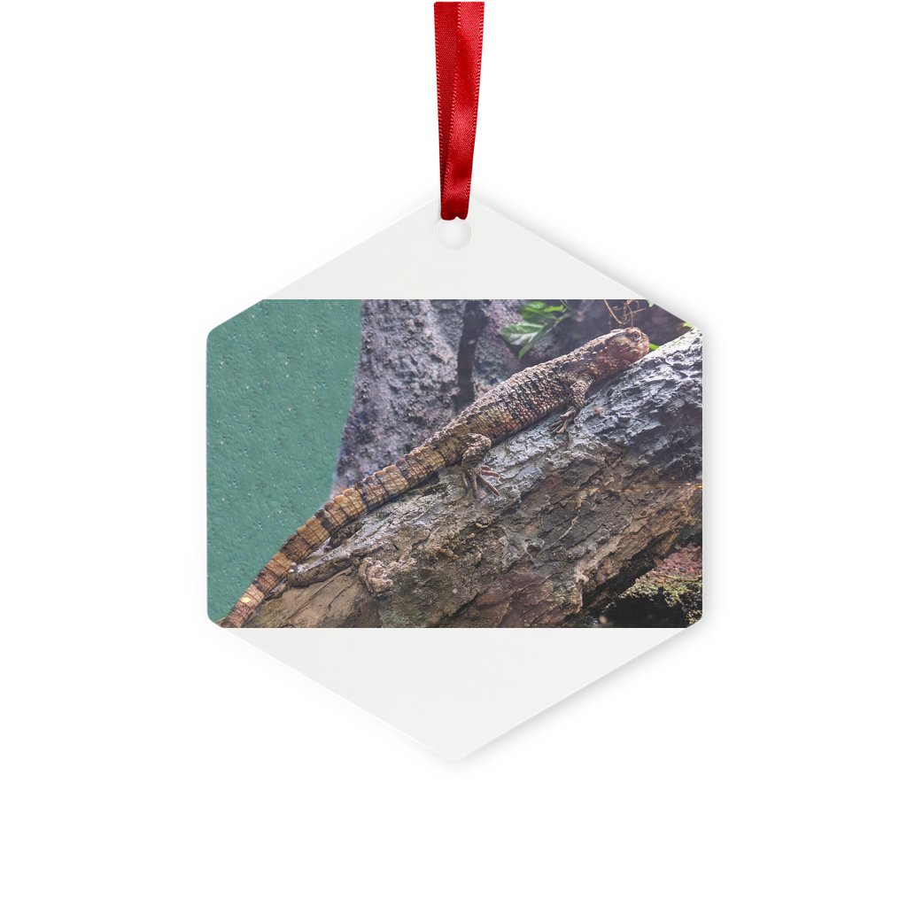 Lizard Metal Hanging Ornament in hexagon and star shapes, featuring a gloss white finish, red ribbon, and gold string, elegantly displayed in a white box.