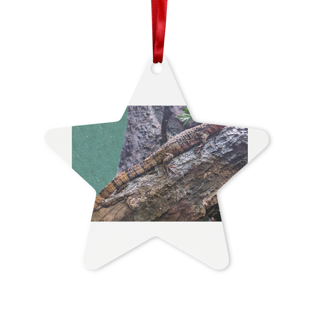 Lizard Metal Hanging Ornament in hexagon and star shapes, featuring a gloss white finish, red ribbon, and gold string, elegantly displayed in a white box.