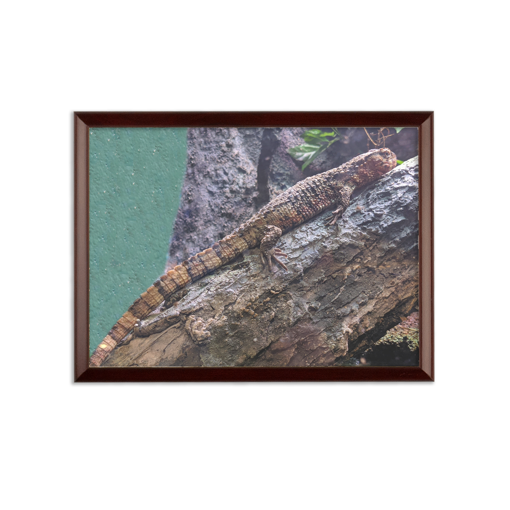 Lizard Sublimation Wall Plaque with ogee shaped edge and white printable surface, showcasing vibrant custom designs.