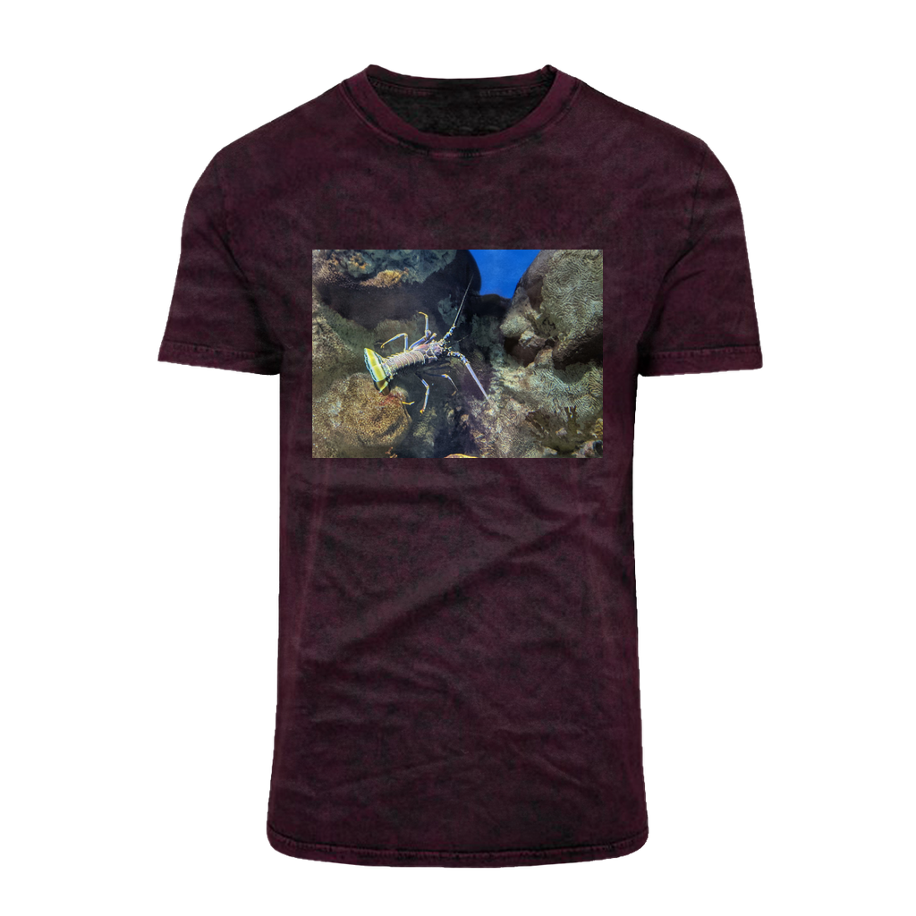 Lobster Acid Washed T-Shirt featuring a crew neck and unique batik-like design, perfect for casual wear.