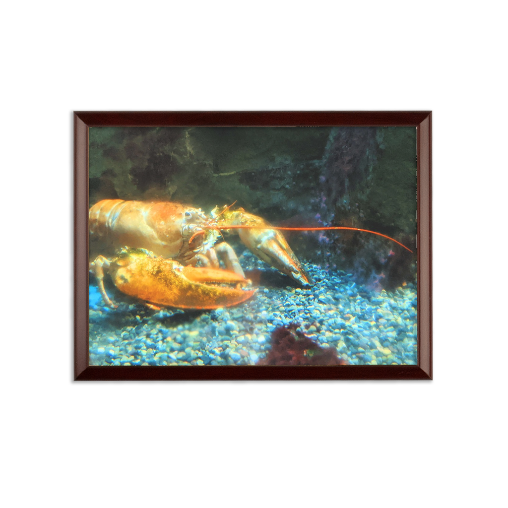 Lobster Sublimation Wall Plaque with ogee shaped edge in brown frame and white printable surface, ideal for custom certificates.