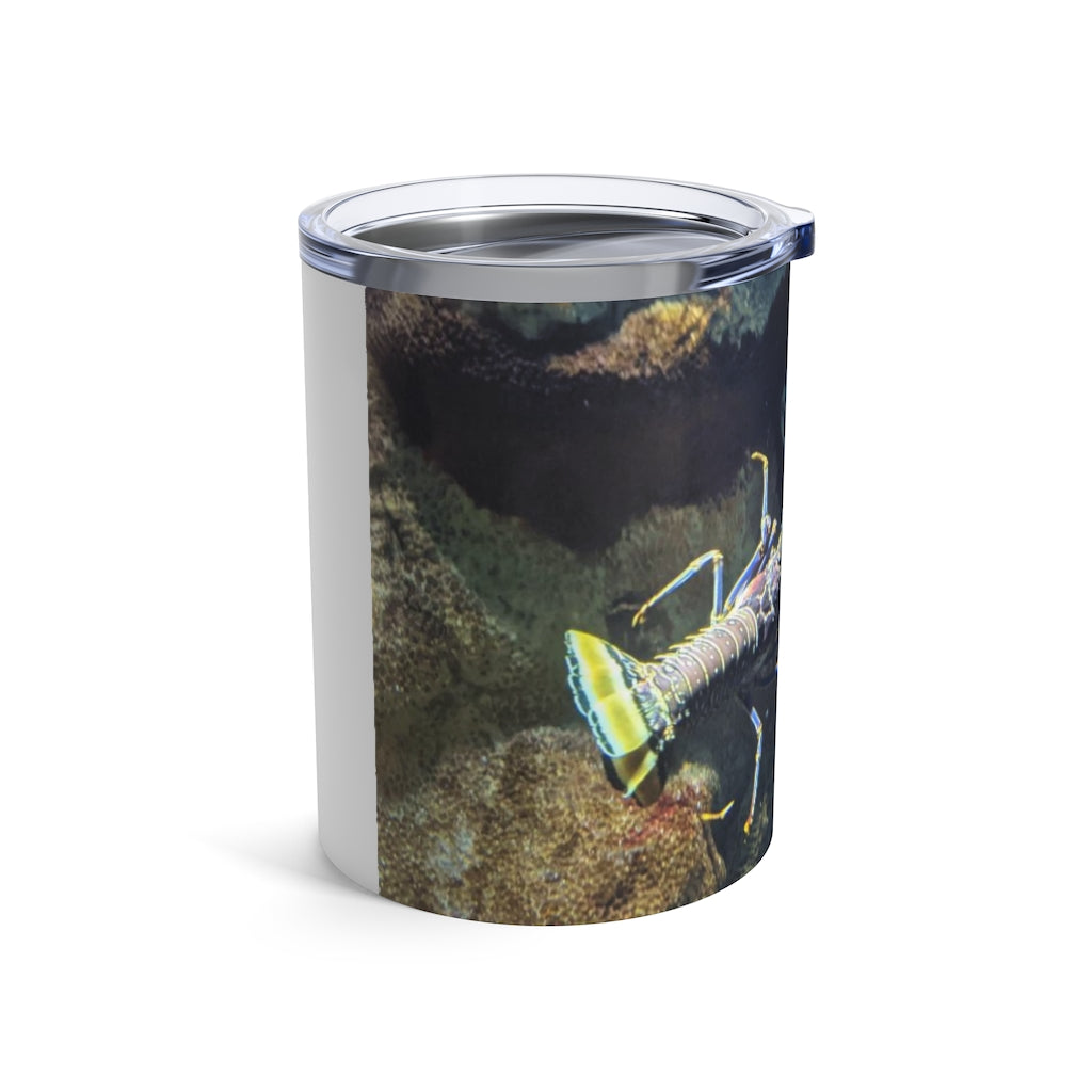 Lobster Tumbler 10oz in stainless steel with a see-thru plastic lid, showcasing its sleek design and rounded corners.