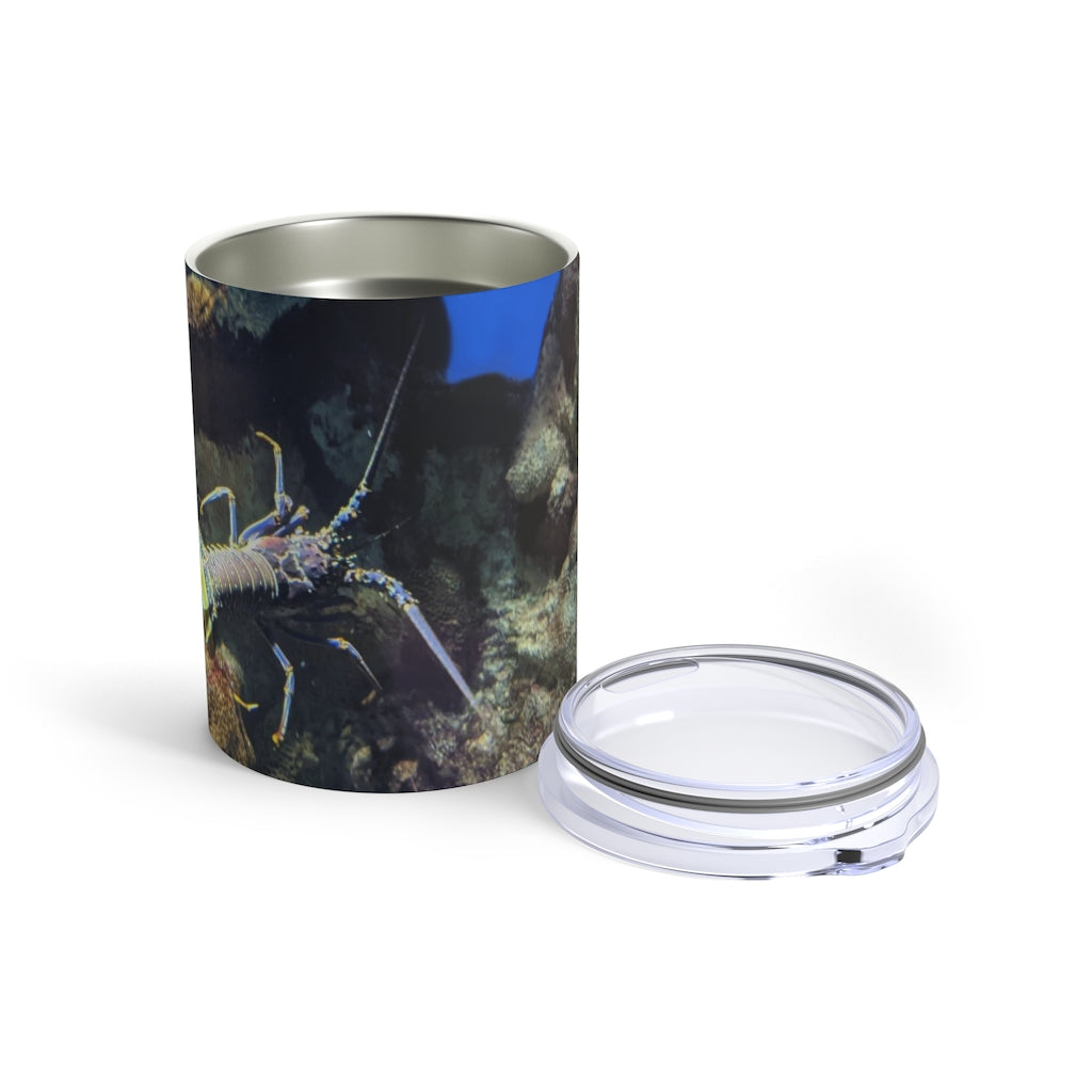 Lobster Tumbler 10oz in stainless steel with a see-thru plastic lid, showcasing its sleek design and rounded corners.